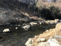 秩父フライフィールド 釣果