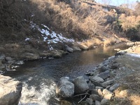 秩父フライフィールド 釣果