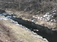 秩父フライフィールド 釣果