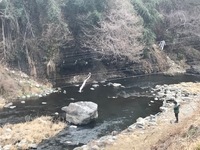 秩父フライフィールド 釣果