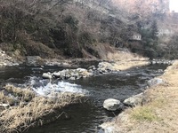 秩父フライフィールド 釣果