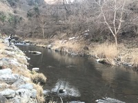 秩父フライフィールド 釣果