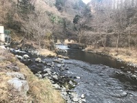 秩父フライフィールド 釣果