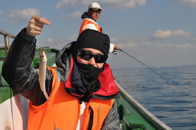 根岸丸 釣果