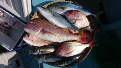 はじめ丸 釣果