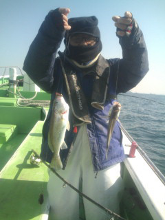 金沢八景鴨下丸 釣果