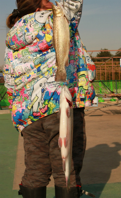 としまえんフィッシングエリア 釣果