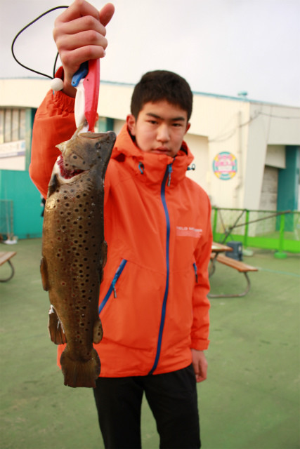 としまえんフィッシングエリア 釣果