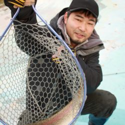 としまえんフィッシングエリア 釣果