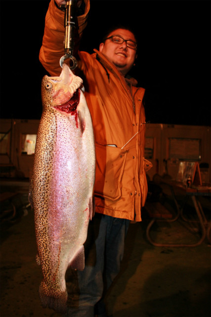 としまえんフィッシングエリア 釣果