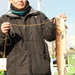 としまえんフィッシングエリア 釣果