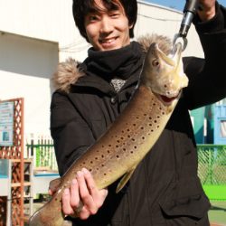 としまえんフィッシングエリア 釣果