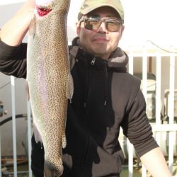 としまえんフィッシングエリア 釣果