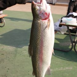 としまえんフィッシングエリア 釣果