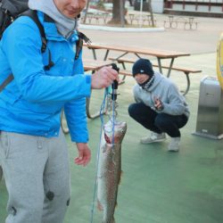 としまえんフィッシングエリア 釣果