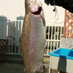 としまえんフィッシングエリア 釣果