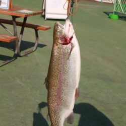 としまえんフィッシングエリア 釣果