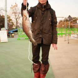 としまえんフィッシングエリア 釣果
