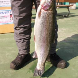 としまえんフィッシングエリア 釣果