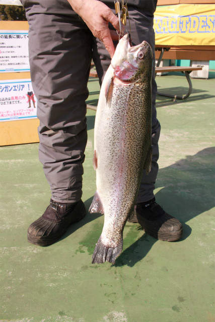 としまえんフィッシングエリア 釣果
