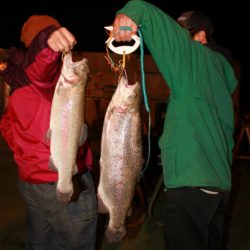 としまえんフィッシングエリア 釣果