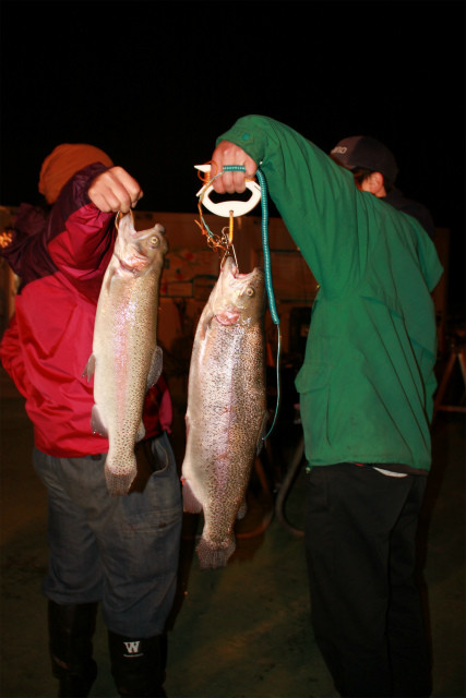 としまえんフィッシングエリア 釣果