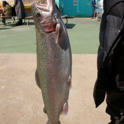 としまえんフィッシングエリア 釣果