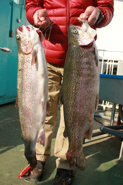 としまえんフィッシングエリア 釣果