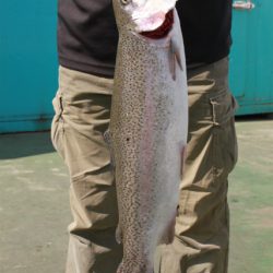 としまえんフィッシングエリア 釣果