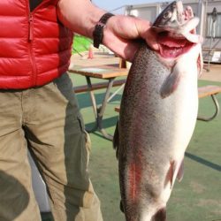 としまえんフィッシングエリア 釣果