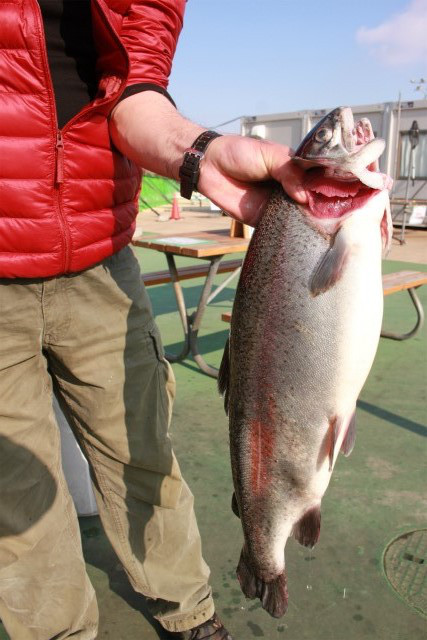 としまえんフィッシングエリア 釣果