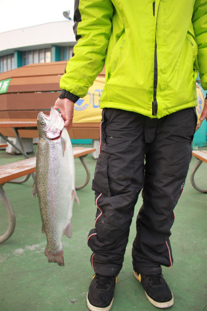 としまえんフィッシングエリア 釣果