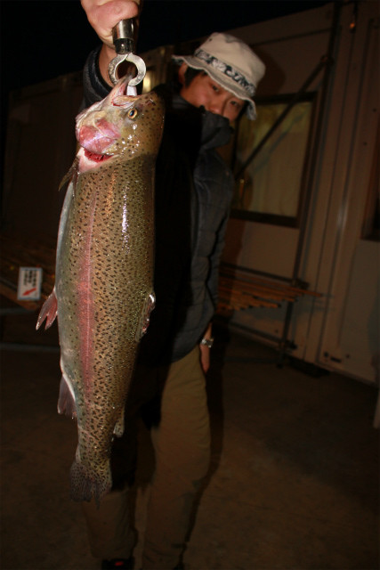 としまえんフィッシングエリア 釣果