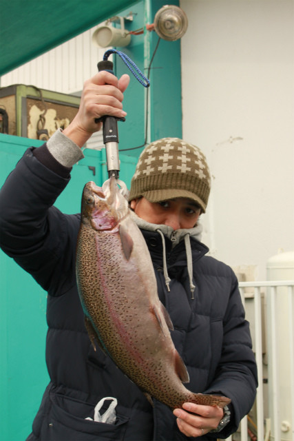 としまえんフィッシングエリア 釣果