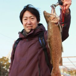 としまえんフィッシングエリア 釣果