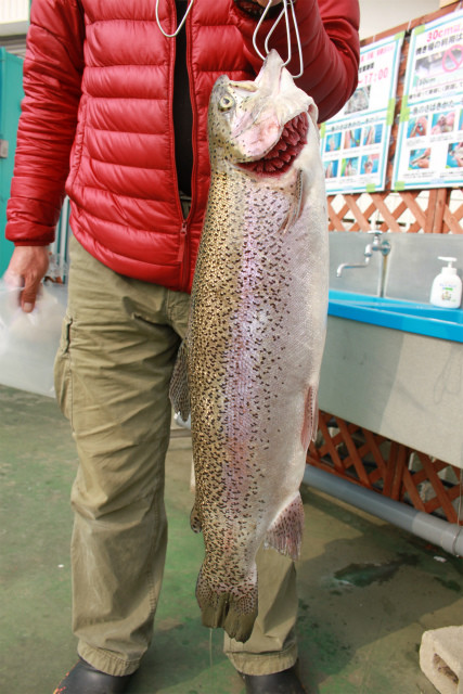 としまえんフィッシングエリア 釣果