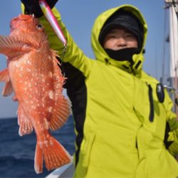渡船屋たにぐち 釣果