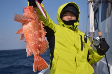 渡船屋たにぐち 釣果