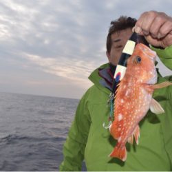 渡船屋たにぐち 釣果