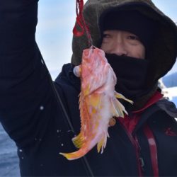 渡船屋たにぐち 釣果