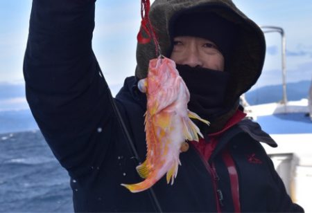 渡船屋たにぐち 釣果