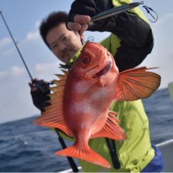 渡船屋たにぐち 釣果