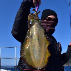 渡船屋たにぐち 釣果