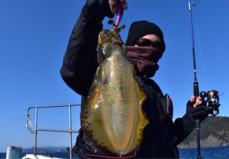 渡船屋たにぐち 釣果