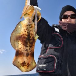 渡船屋たにぐち 釣果