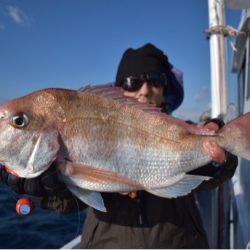 渡船屋たにぐち 釣果