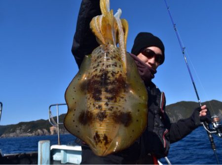 渡船屋たにぐち 釣果