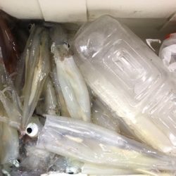 第二八坂丸 釣果