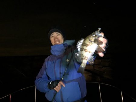 Chase（チェイス） 釣果