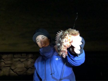 Chase（チェイス） 釣果